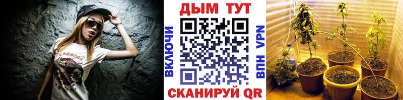 Магазины продажи наркотиков Зерноград ГАШИШ  Кокаин  LSD-25  Псилоцибиновые грибы  МЕФ  Alpha PVP  МАРИХУАНА  Амфетамин 