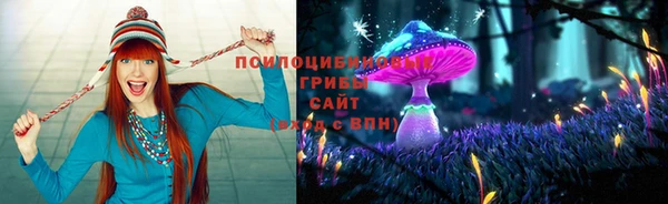 a pvp Володарск