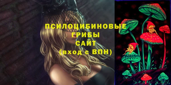 ГАЛЛЮЦИНОГЕННЫЕ ГРИБЫ Волоколамск