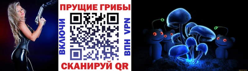Псилоцибиновые грибы MAGIC MUSHROOMS  сколько стоит  OMG tor  Зерноград 